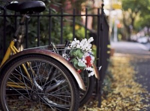 دوچرخه,گل,flowers,street,bokeh,photograph-b4ce0ca4d20b10256505ca54b454e408_h