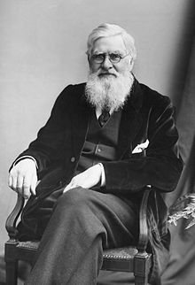 Alfred-Russel-Wallace-c1895.jpg