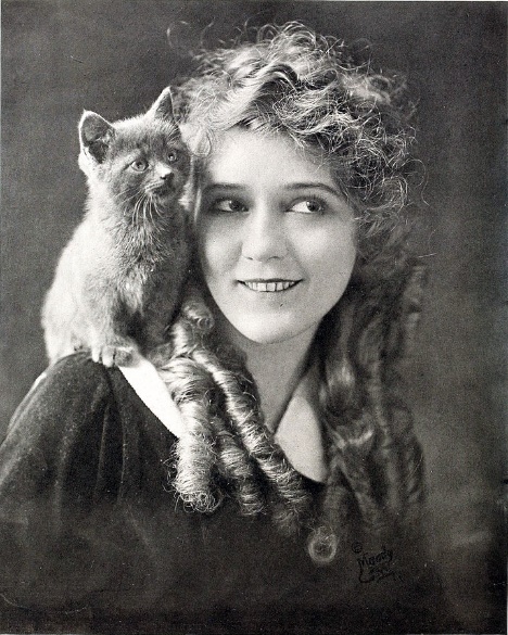 G:\pix\projects\west\Mary_Pickford_1916.jpg