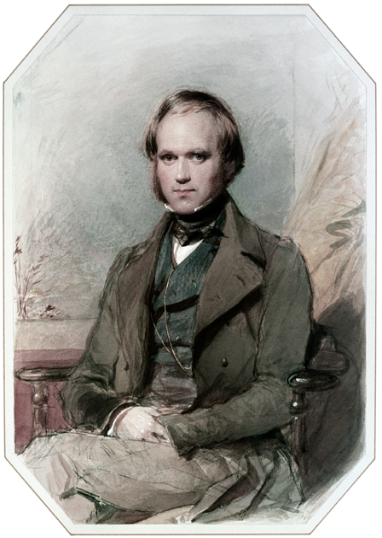 G:\pix\projects\west\sorted\1840 Charles_Darwin_by_G._Richmond.png