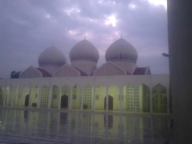 https://upload.wikimedia.org/wikipedia/commons/a/ae/Jamia_Masjid_Punjab_University_in_a_Marvelous_scene..jpg