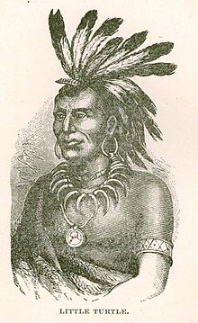 https://upload.wikimedia.org/wikipedia/commons/thumb/d/de/Chief_Little_Turtle.jpg/220px-Chief_Little_Turtle.jpg