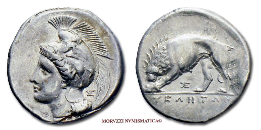 Ancient Coins - Lucania Velia AR Didrachm 334-300 BC Athena / lion 45/70 SCARCE (NC) ancient Greek coin for sale