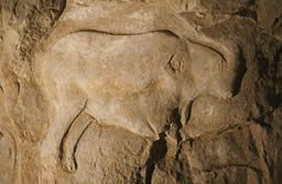 Catalogue Angles-sur-l’Anglin, Le Roc-aux-Sorciers : art et parure du Magdalénien - Abri Bourdois - Bouquetin sculpté ...