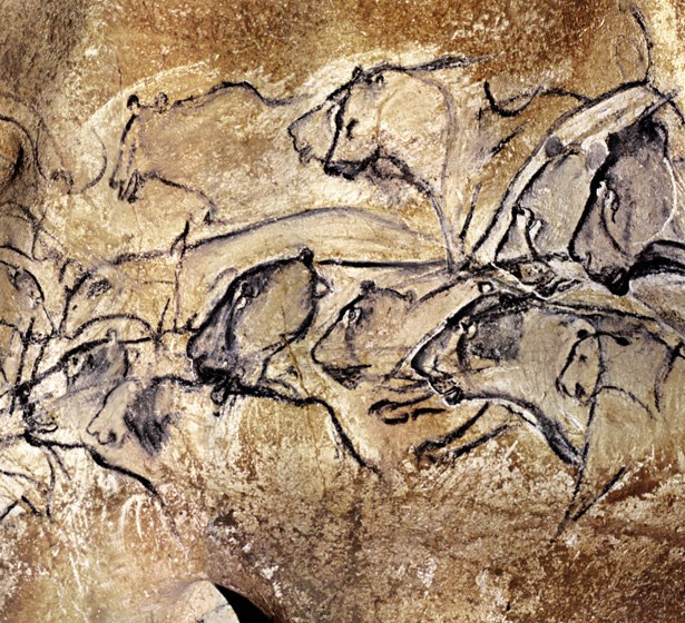 Chauvet Cave Paintings Gallery