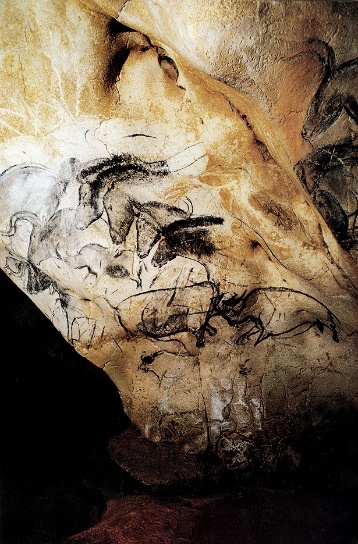 Chauvet Cave Paintings Gallery