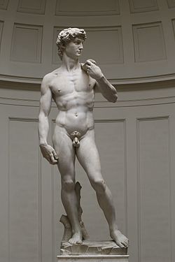 'David' by Michelangelo Fir JBU002.jpg