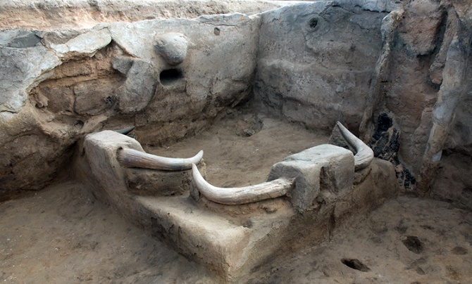 G:\pix\-5800 Bull bucrania, corner installation in Building 77, Çatalhöyük.jpg