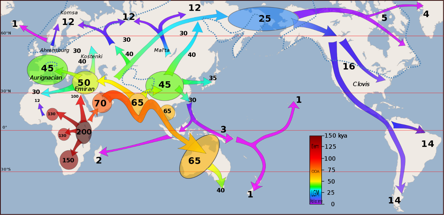 G:\pix\projects\هاپلوگروه\1920px-Early_migrations_mercator.svg.png