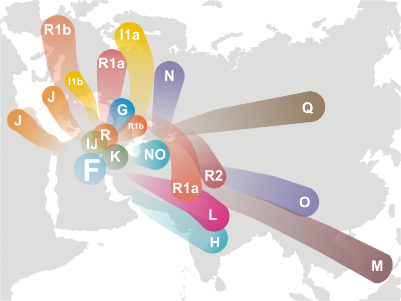 G:\pix\projects\هاپلوگروه\+2000 Haplogroup_F_(Y-DNA).jpg