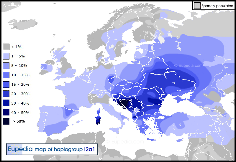 G:\pix\projects\هاپلوگروه\+2000 Haplogroup_I2a.gif