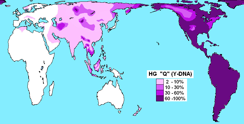 G:\pix\projects\هاپلوگروه\+2000 Haplogroup_Q_(Y-DNA).PNG