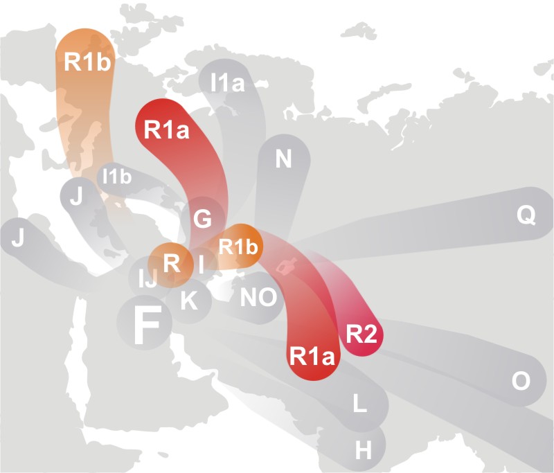 G:\pix\projects\هاپلوگروه\+2000 Haplogroup_R_(Y-DNA).jpg