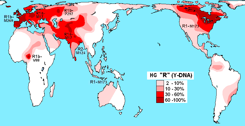 G:\pix\projects\هاپلوگروه\+2000 Haplogroup_R_(Y-DNA).PNG