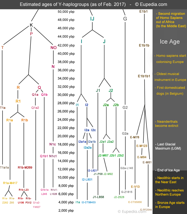 G:\pix\projects\هاپلوگروه\-2000 haplogroups-timeline.png