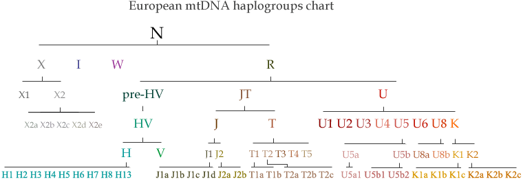 G:\pix\projects\هاپلوگروه\+2000 mtdna-haplogroup-chart.gif