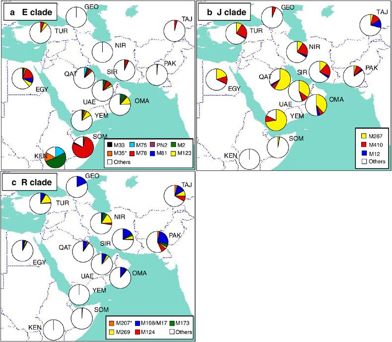 G:\pix\projects\هاپلوگروه\+2000 Y-chromosome diversity characterizes the Gulf of Oman1.jpg