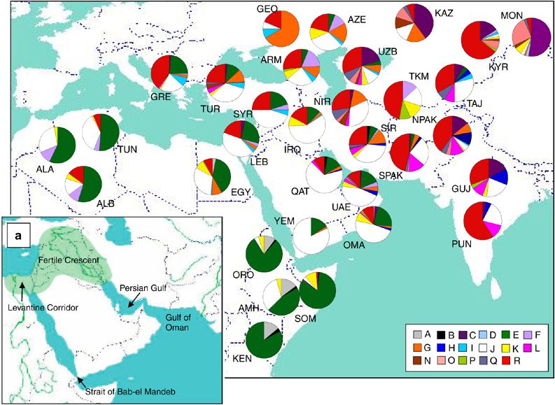 G:\pix\projects\هاپلوگروه\+2000 Y-chromosome diversity characterizes the Gulf of Oman.jpg