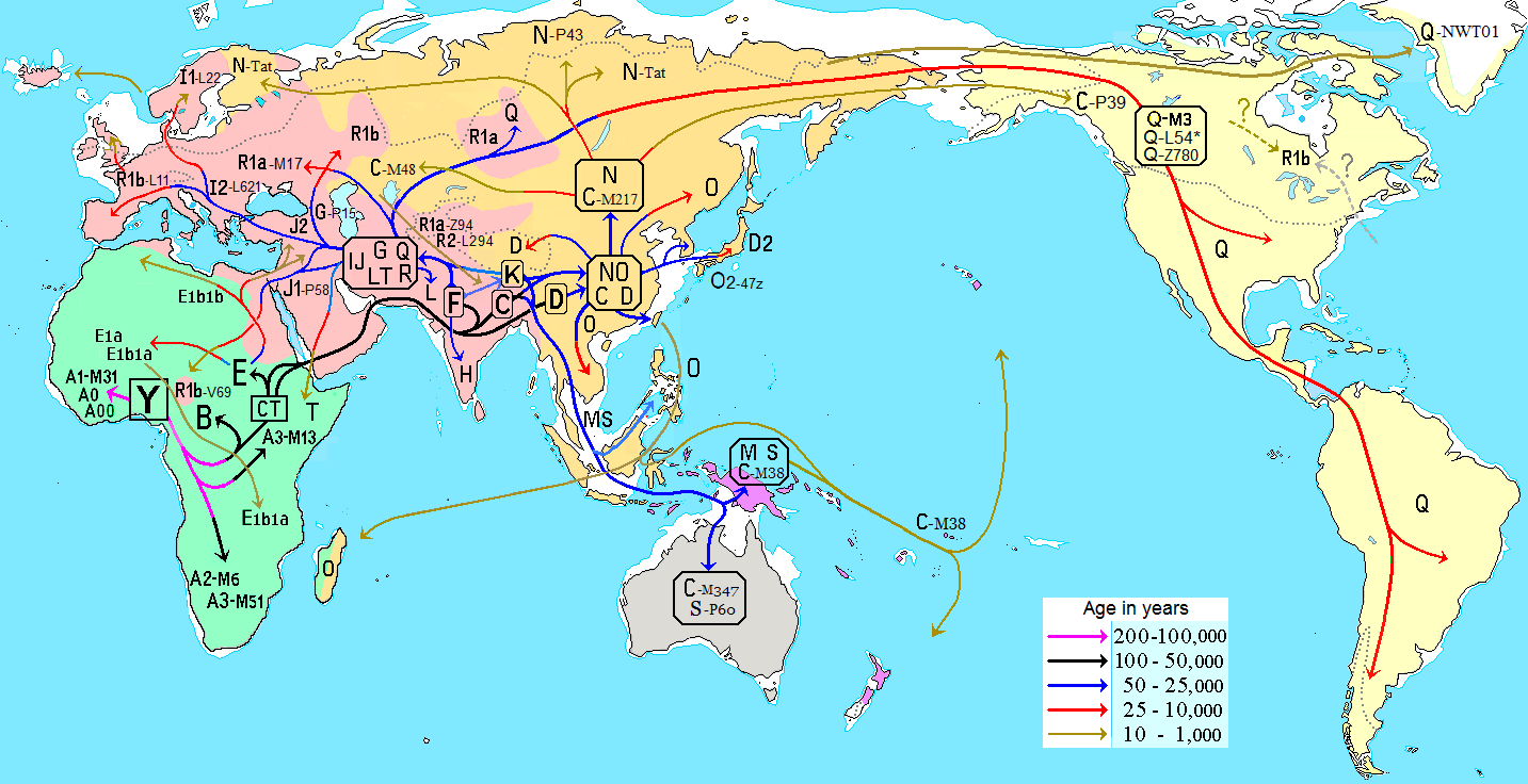 G:\pix\projects\هاپلوگروه\-60000 Migraciones_humanas_en_haplogrupos_de_ADN-Y.PNG