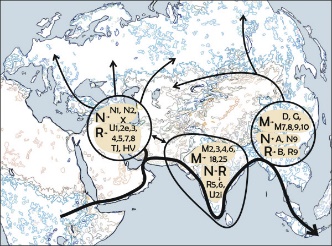 G:\pix\projects\هاپلوگروه\-60000 Peopling_of_eurasia.jpg