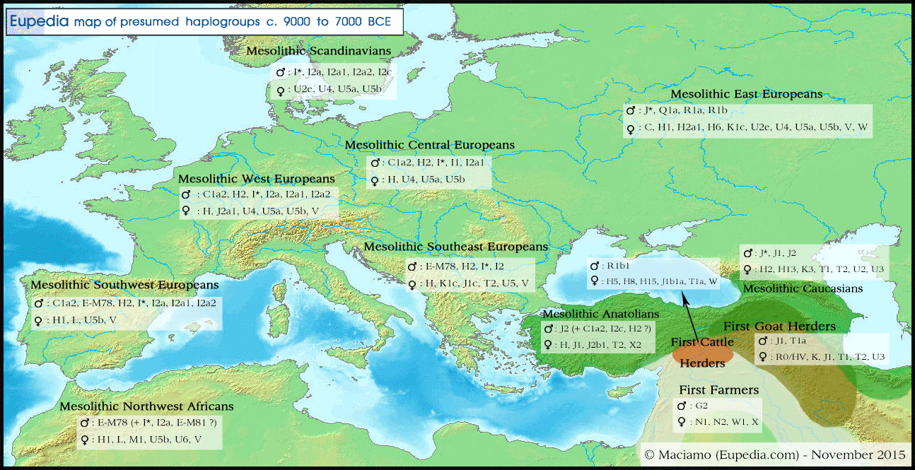 G:\pix\projects\هاپلوگروه\-8000 BCE-haplogroups.png