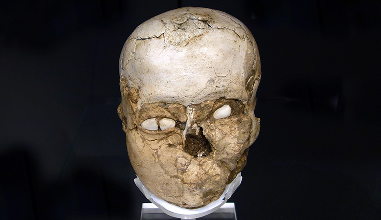 G:\pix\projects\iranzamin\3000-1200\-7200 Plastered human skull with shell eyes from Jericho, Pre-Pottery Neolithic B, c. 7200 B.C.E..jpg