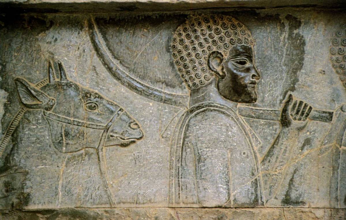 G:\pix\projects\iranzamin\achaemedian\-500 jpg_-550_-450_Relief_mural_figurant_un_Ethiopien_qui_apporte_une_defense_d_elephant_cote_ouest_en_calcaire_Fars_Iran.jpg