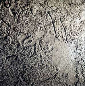 Grotte de Cussac: rhinoceros. It contains over 150 Paleolithic artworks as well as several human remains. Le Buisson-de-Cadouin, Dordogne, Aquitaine