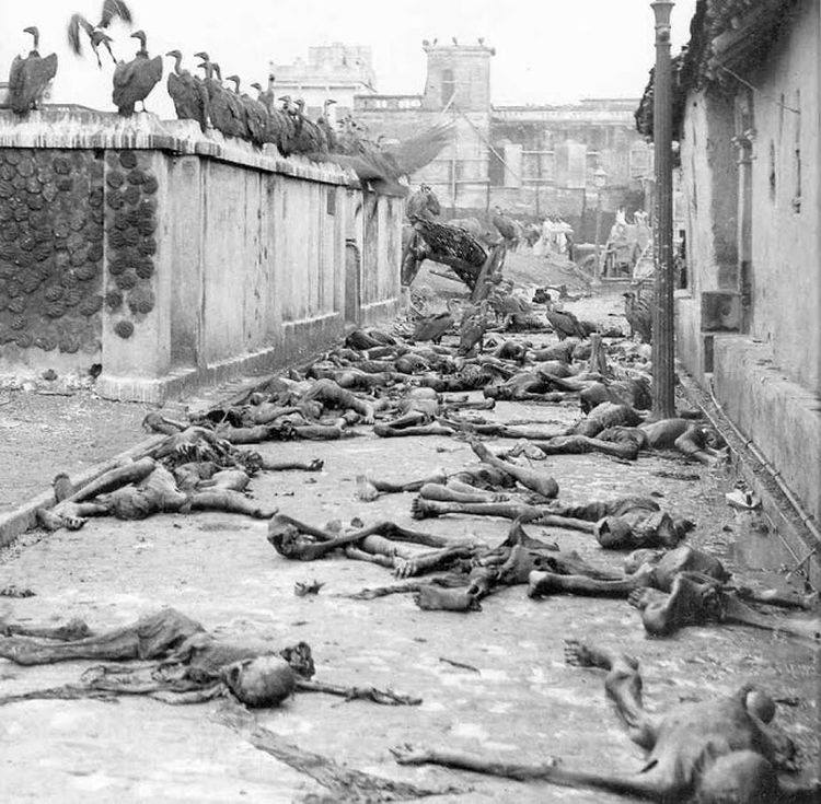 https://upload.wikimedia.org/wikipedia/commons/6/64/Vultures_and_corpses_in_the_street_of_Calcutta%2C_1946.jpg