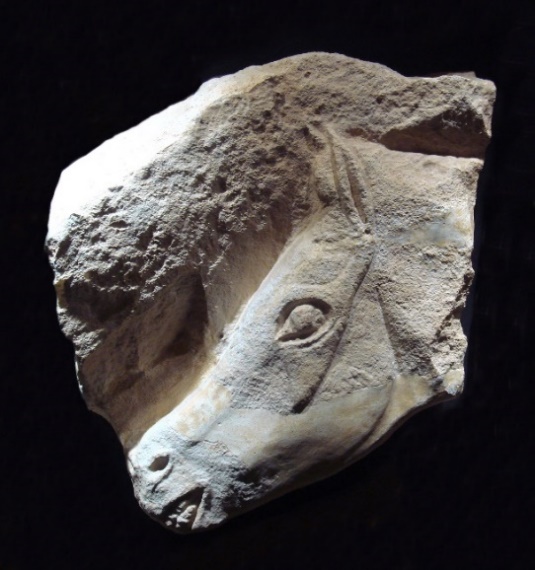 https://upload.wikimedia.org/wikipedia/commons/b/ba/Magdalenian_horse.jpg