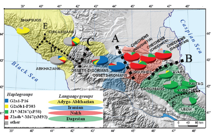 https://www.languagesoftheworld.info/wp-content/uploads/2014/05/Languages-and-genes-in-North-Caucasus.jpg