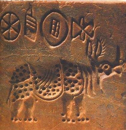 Indus Valley Civilization Rhino