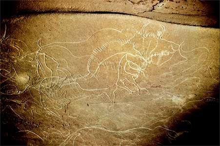 Large horse, with the erect mane characteristic of those common in the ice age, and bison, engraved at Cussac on the Grand Panel. The engraving is done with a sure and artistic hand c 25,000 BCE