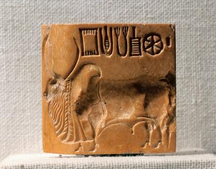 Pakistan, Mohenjo-daro, Steatite seal depicting a zebu Pakistan, Karachi, Museo Nazionale del Pakistan (Archaeological Museum), Indus Valley art