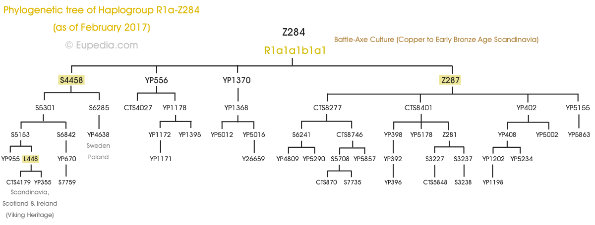 Phylogenetic tree of haplogroup R1a-Z284 (Y-DNA) - Eupedia