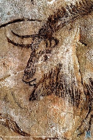 Salon Noir. Grotte de Niaux. Ariège The Cave of Niaux (French: Grotte de Niaux) is located in Niaux in the Ariège département of south-western France. Like Lascaux it contains many prehistoric paintings of superior quality, in the case of Niaux from the Magdalenian period.