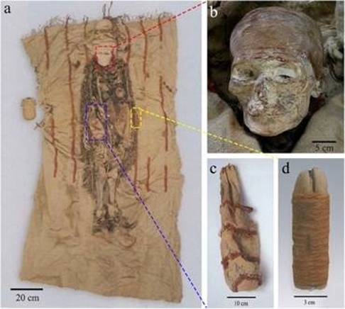 The content of a typical tomb for a woman at Xiaohe cemetery: (a) shows a front view of a female mummy with her funerary objects, including a leather bag on the right side of her waist (purple box), wooden replica genitalia on the left (yellow box) and a wooden comb under her buttocks; (b) shows red lines painted on the forehead of a mummy; (c) leather bag; (d) wooden replica genitalia. Credit: University of Chinese Academy of Sciences