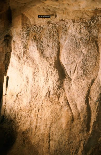 Wall carving in Roc-aux-Sorciers (Sorcerers' Rock), an Upper Paleolithic rock shelter site dating to the mid-Magdalenian cultural stage, ca 14000 yBP in Angles-sur-l'Anglin, France.