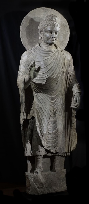 Large museum quality standing image of Buddha 3rd century 180cm. Equiries regarding this image please contact info@gandhara.com.au #Gandhara #Gandharan #buddha #shist #kushan