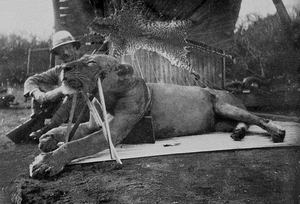 https://upload.wikimedia.org/wikipedia/commons/thumb/9/9f/Colonel_Patterson_with_Tsavo-Lion.jpg/1024px-Colonel_Patterson_with_Tsavo-Lion.jpg