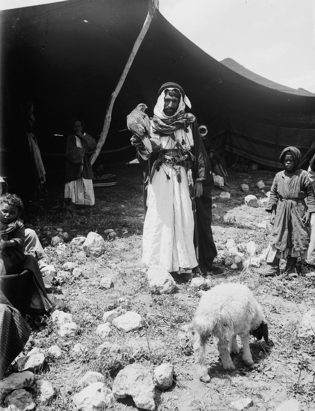 G:\pix\1898 یبلیبلی American Colony Photo Department, (later the Matson Photo Service), took these pictures of Bedouins in Egypt, the Sinai, Palestine and Jerusalem.jpg