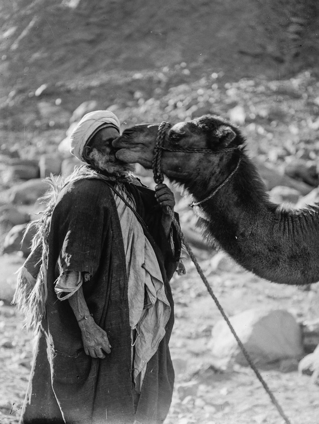 G:\pix\1898 یلبب American Colony Photo Department, (later the Matson Photo Service), took these pictures of Bedouins in Egypt, the Sinai, Palestine and Jerusalem.jpg