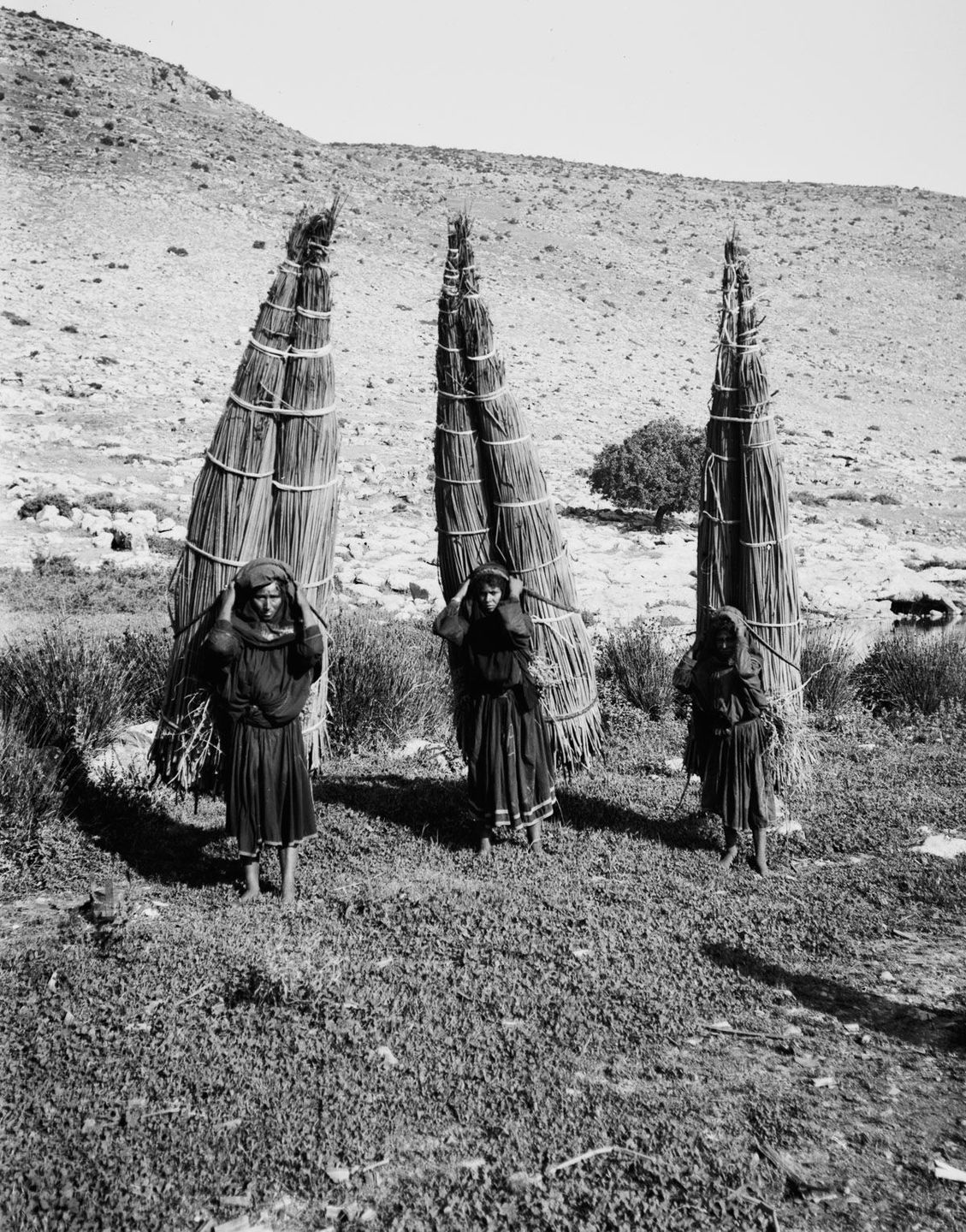 G:\pix\1898 للب American Colony Photo Department, (later the Matson Photo Service), took these pictures of Bedouins in Egypt, the Sinai, Palestine and Jerusalem.jpg